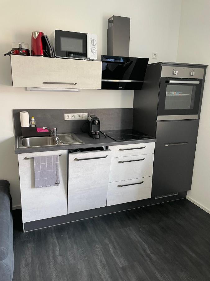 Apartments Saaldorf-Ferienhaus Mit 6 Apartments 45Qm-120Qm Direkt Am Thueringer Meer-Bleilochtalsperre Bad Lobenstein Exterior photo